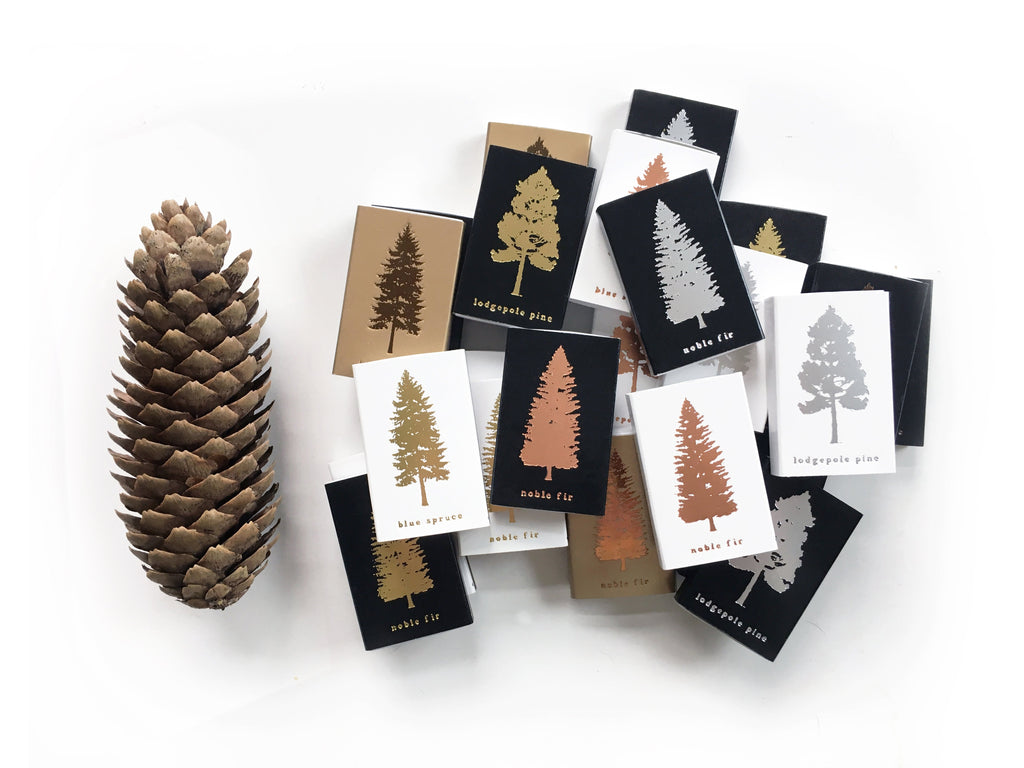 Lodgepole Pine Tree Matchbox