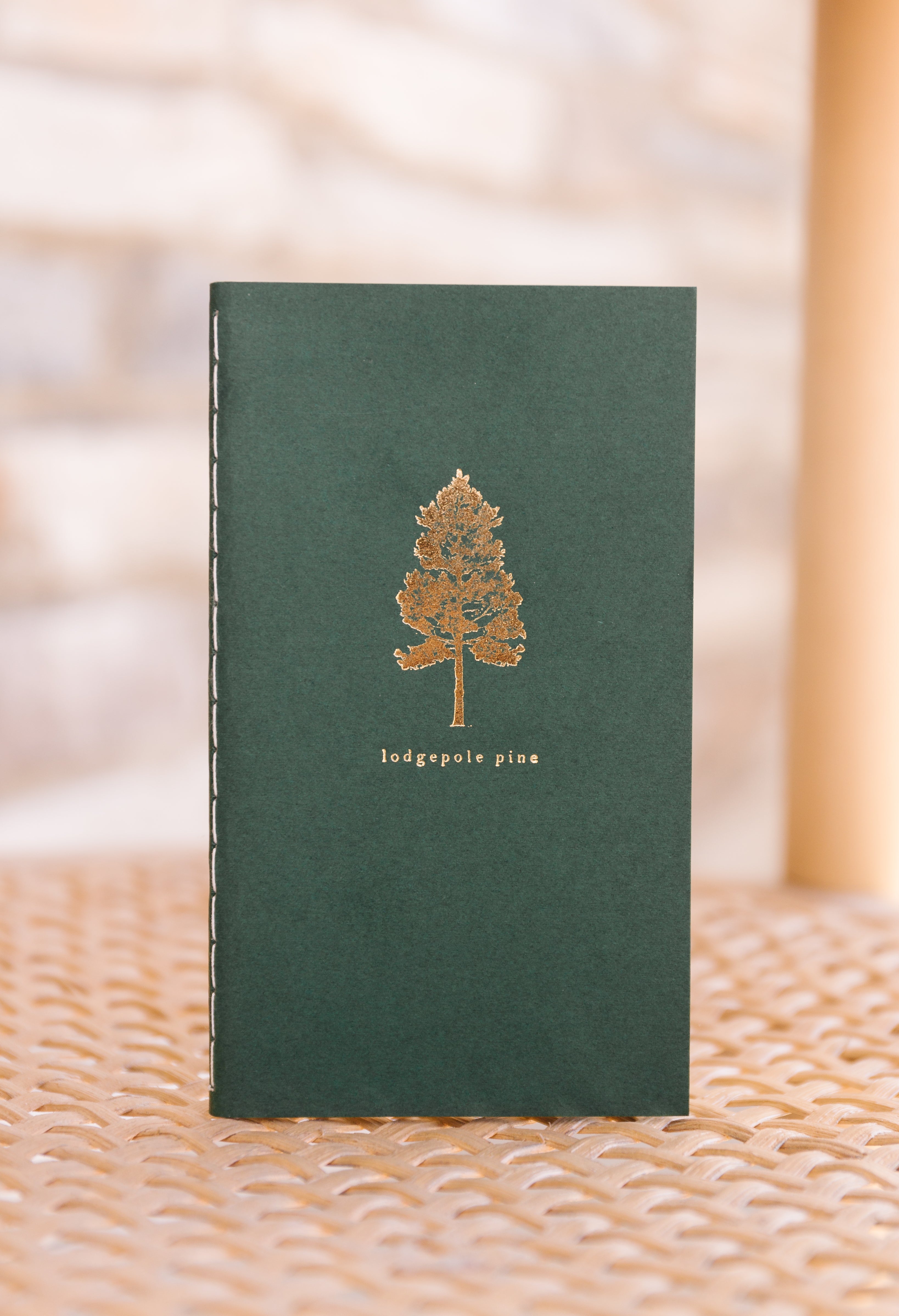 Snow Capped Mountains Mini Saddle Stitch Notebook